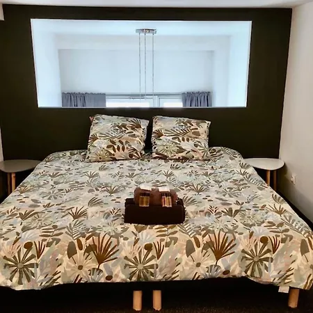 Loft En Duplex 维勒班